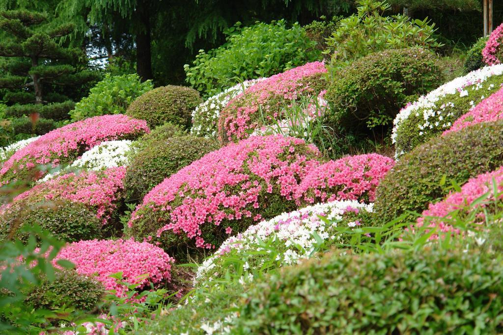 Kounkaku Hotel Nihonmatsu ภายนอก รูปภาพ